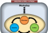 The Three Aims of life: Dharma, Artha, Kama