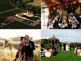 Vineyard Weddings are really a thing