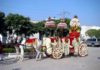Welcome Your Knight In A Shining “Baggi” With Sohan Lal & Sons Ghoriwala
