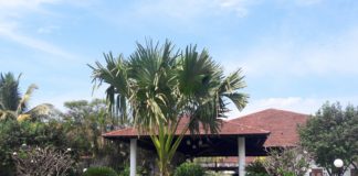 Get Luxurious At Novotel Goa Dona Sylvia