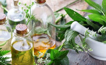 Top 5 Herbal Brands In India That You Must Certainly Try!