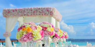 Craft Unforgettable Moments With The Global Design Co.
