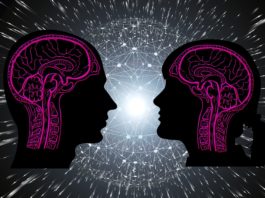 The Male Brain Vs The Female Brain