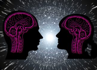 The Male Brain Vs The Female Brain