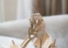Wedding Shoes With A Pop Of Color