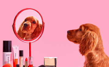 Cruelty-Free Make-up Brands