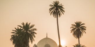 Delightful Delhi