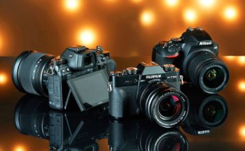 Nikon Camera For Picture Perfection