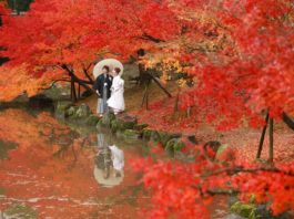 Japan: The Ultimate Romantic Honeymoon Destination