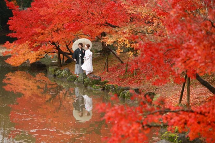Wedding Affair