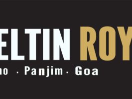 Deltin Royale Hosts The Electric Carnival