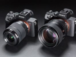 Sony Alpha: The Choice Of Professionals