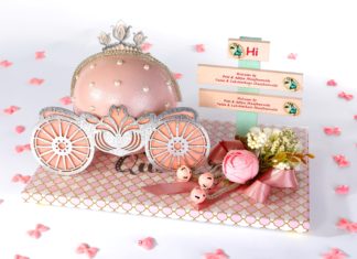 Izhaar’s Winsome Baby Collection