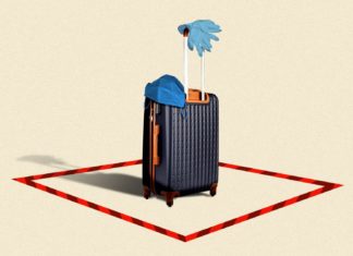 Would We Start Travelling Again Anytime Soon?