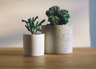 Reasons to add indoor plants for a fitter you indoor plants