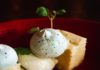 Winter delights to try out this season winter delights