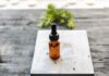 The holy grail to include in your beauty closet: Lavender Oil