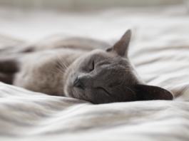 Ways to boost beauty sleep & relieve stress sleep