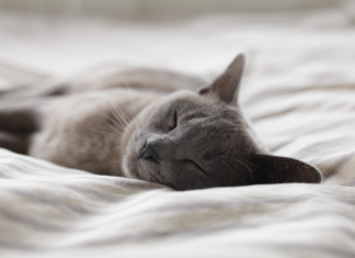 Ways to boost beauty sleep & relieve stress sleep