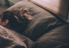Here are some ways you are ruining your sleep sleep