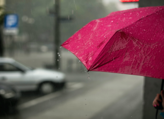 Some immunity boosting tips to protect you this monsoon
