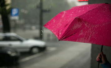 Some immunity boosting tips to protect you this monsoon