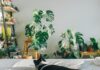 Perfect ways to induce fresh air in your living space