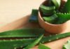 Magical benefits of Aloe Vera for a Flawless skin