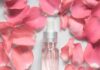 Rosewater for your Beautiful Skin