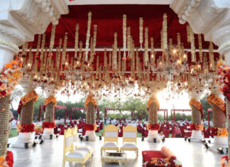 Bask entertainment for that picture perfect wedding