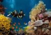 Love and live :Adventure honeymoon ideas for couples