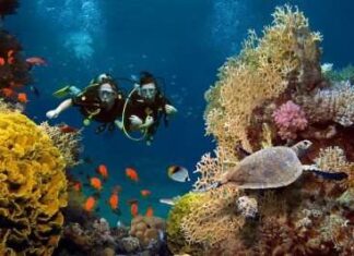 Love and live :Adventure honeymoon ideas for couples