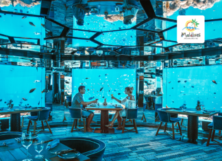 Take Romance to The Next Level in The Maldives with These Underwater Activities