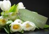 Easy Ways to Spruce up your Living Space