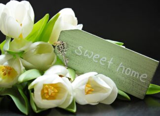 Easy Ways to Spruce up your Living Space