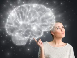 Female Brain & The Science Behind Female Brain And The Science Behind - Wedding Affair