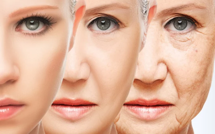Anti-Ageing Ingredients For Skincare
