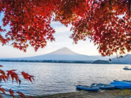 The Land Of Cherry Blossoms Destination International Honeymoon, Japan - Wedding Affair