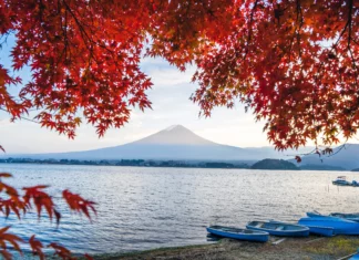 The Land Of Cherry Blossoms Destination International Honeymoon, Japan - Wedding Affair