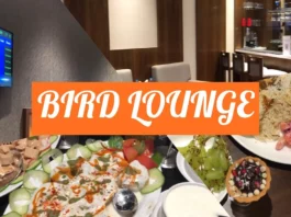 Bird Lounge: Indulge in Exquisite Flavors and Unparalleled Comfort Bird Lounge - Wedding Affair