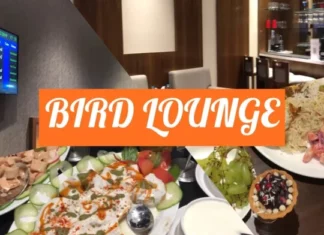 Luxury Airport Experience With Bird Lounge Bird Lounge - Wedding Affair