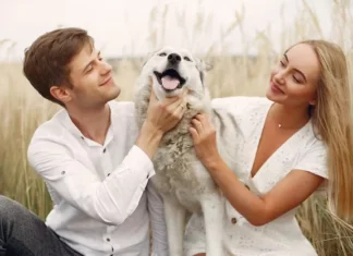 Pets At Weddings: How To Include Your Furry Friends In The Celebration Pets At Weddings - Wedding Affair
