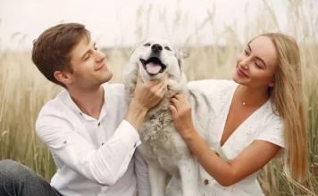Pets At Weddings: How To Include Your Furry Friends In The Celebration Pets At Weddings - Wedding Affair