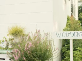 Post-Wedding Bliss: Navigating the Early Days of Marriage Post-Wedding Bliss - Wedding Affair