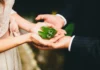 Sustainable Destination Weddings: Eco-Friendly Choices Abroad Sustainable Destination Weddings - Wedding Affair