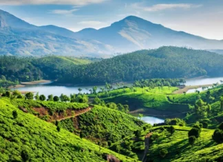 Countdown to Joy: 10 Spectacular Places Near Delhi For Unforgettable New Year Celebrations 10 Places Near Delhi For New Year Celebrations - Wedding Affair