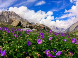 Celebrate Love in DevBhoomi: Uttarakhand Destination Weddings In Uttarakhand - Wedding Affair