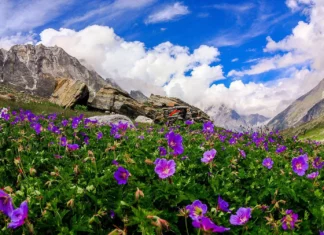 Celebrate Love in DevBhoomi: Uttarakhand Destination Weddings In Uttarakhand - Wedding Affair