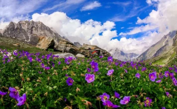 Celebrate Love in DevBhoomi: Uttarakhand Destination Weddings In Uttarakhand - Wedding Affair