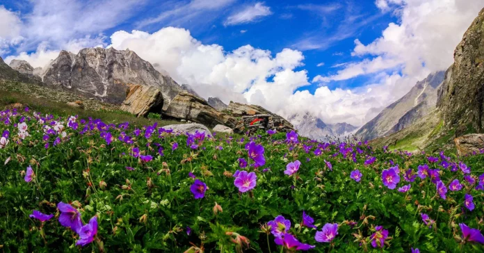 Destination Weddings In Uttarakhand - Wedding Affair